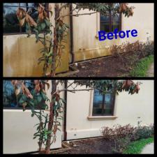 Stucco Soft Wash Algae Removal in Bellaire, TX