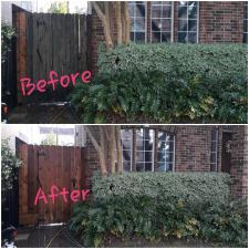 Fence Cleaning and Sealing in Bellaire, TX 5