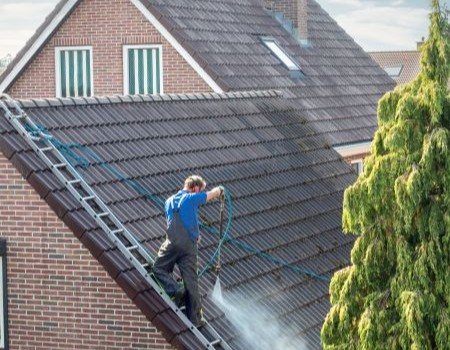 Professional roof cleaning services